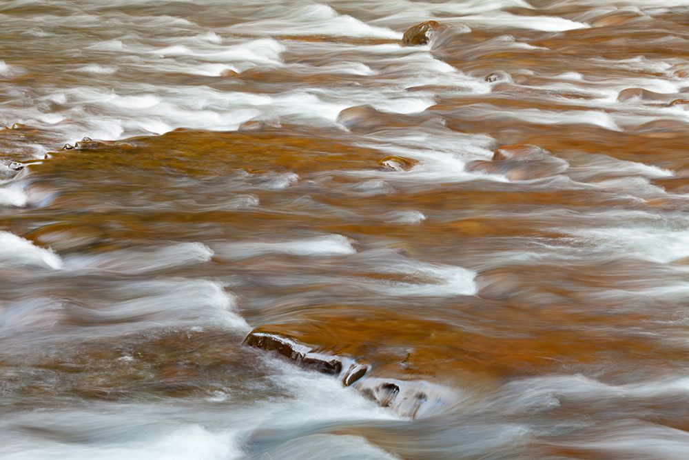 USA, Washington State, Olympic National Park. Rapids in Sol Duc River.